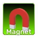 Magnet