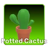 Potted Cactus
