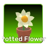 Potted Flower