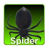 Spider