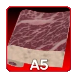 A5