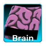 Brain