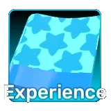 Experience
