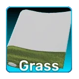 Grass
