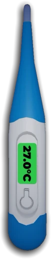 Digital Thermometer