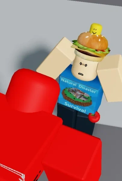 Disasters