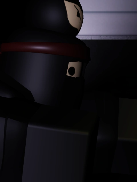 Magic Ninja