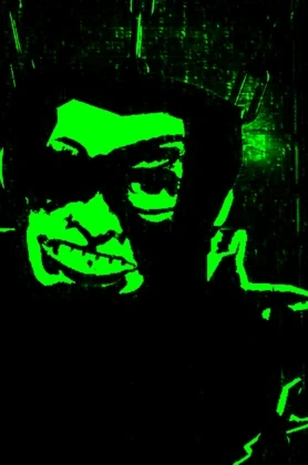 PH0NK1DD