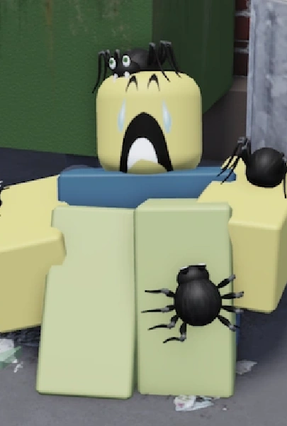 Spiders