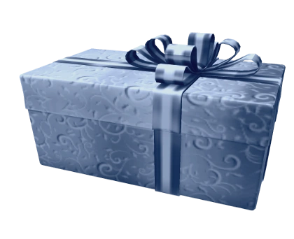 2015 Christmas Gun Box