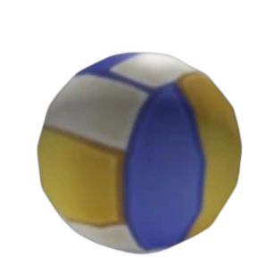 Volleyball
