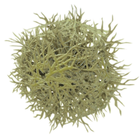 Tumbleweed