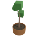 Bevelled Plant