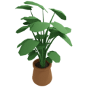Colossal Leaf Plant
