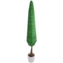 High Plant