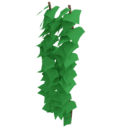 Ivy 2