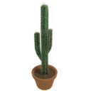 Large Cactus