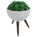 Leaf Ball Plant