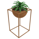 Parlor Plant