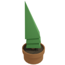 Potted Pine Plant