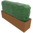 Rectangle Hedge With Pot