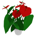 Red Lily Plant