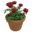 Rose Pot