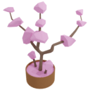 Sakura Plant