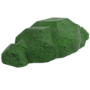 Small Bush