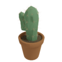 Small Cactus