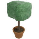 Square Topiary