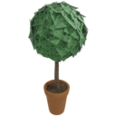 Topiary Tree