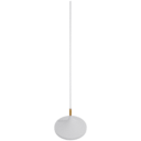 Wide Hanging Light