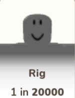 Rig