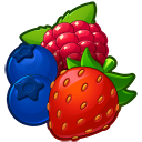 Berries