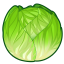Lettuce