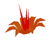 Cave Vine Flower
