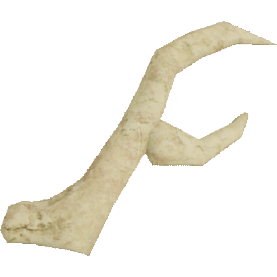 Cultist King Antler