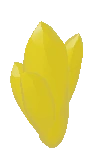 Gold Shard