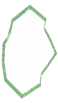 Moonflower Bulb