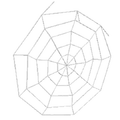 Cobweb