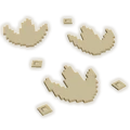 Dinosaur Footprints