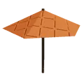 Orange Umbrella