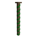 Viney Beam