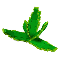 Aloe Vera Seed