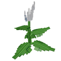 Peace Lily Seed