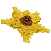 Suncoil Seed