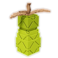 Baobab