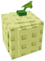 Cantaloupe