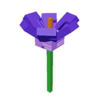 Crocus